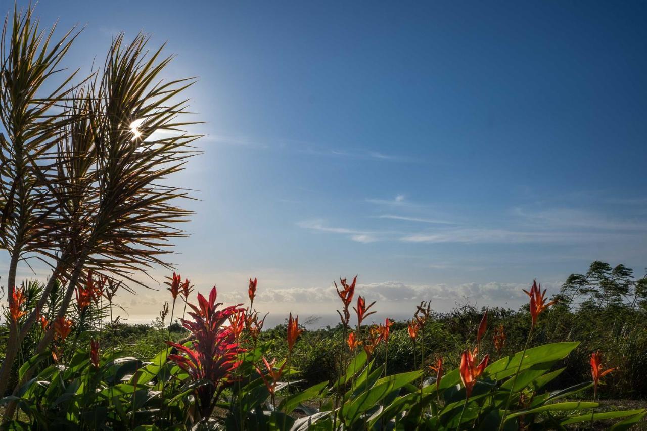The Aloha Green House Retreat With Ocean Views! Naalehu Bagian luar foto